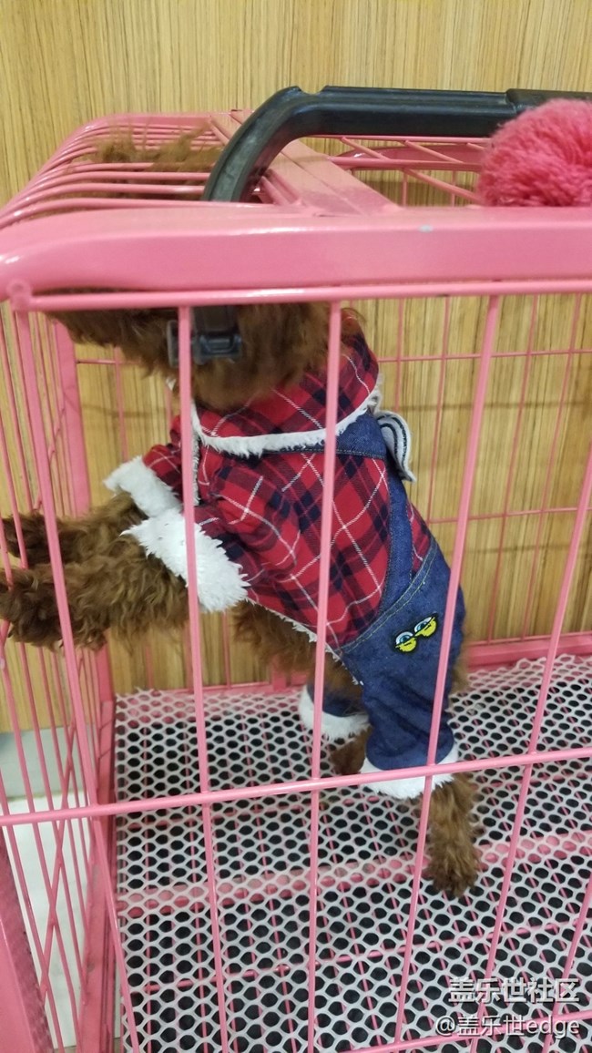 bixby實用性基本相當(dāng)于沒有。。。。