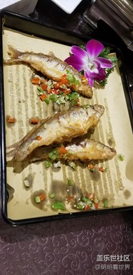 腳步2017-湖北