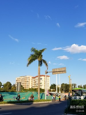 好天氣，過兩天又要短袖穿起……