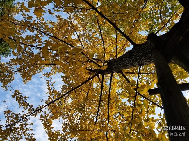 記錄生活中的點滴