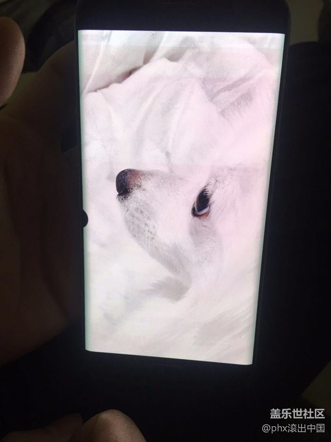 屏幕有黑點(diǎn)，有紅線，還有輸入法的印，什么鬼