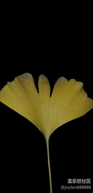 感覺夜拍不如之前的7姨，噪點太多