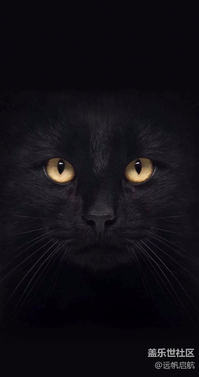 大新聞是更新7.1