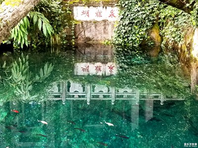 行攝云南----第二部分【蒼山洱海蝴蝶泉】