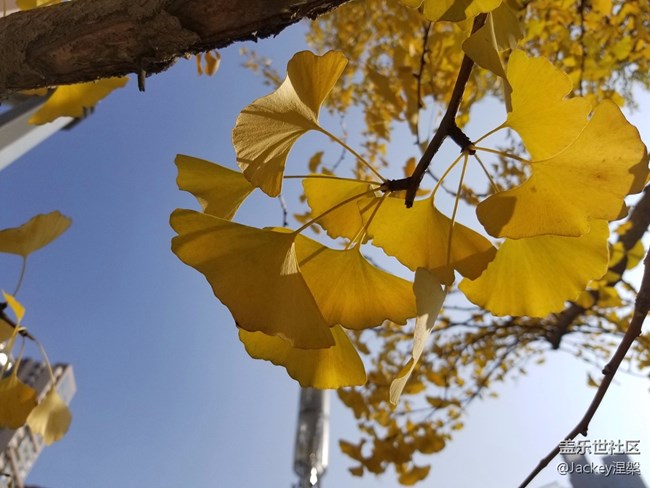 【Note8百人體驗(yàn)團(tuán)】圖文類 不忘初心，商務(wù)旗艦Note8體驗(yàn)