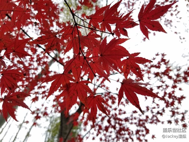 【Note8百人體驗(yàn)團(tuán)】圖文類 不忘初心，商務(wù)旗艦Note8體驗(yàn)