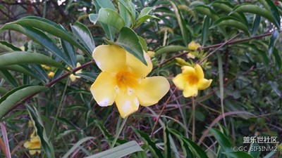 捕捉大自然的美景！