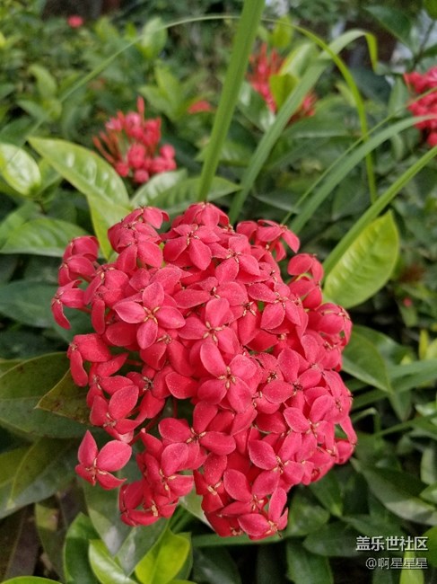 終于搞到了今年最想要的手機 ！ s8＋。簡單的上手總結(jié)。