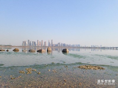 冬日龍湖