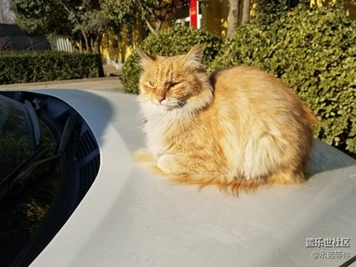 上班無(wú)聊，隨手拍的。