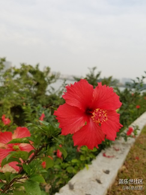 終于搞到了今年最想要的手機 ！ s8＋。簡單的上手總結(jié)。