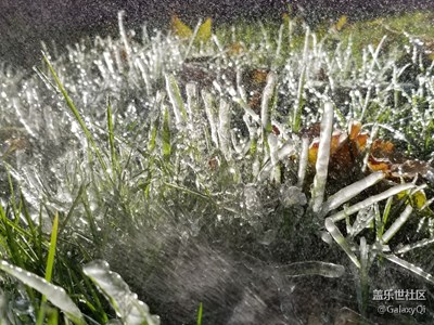 【不一樣的冬  不一樣的南北】+天津的冬天