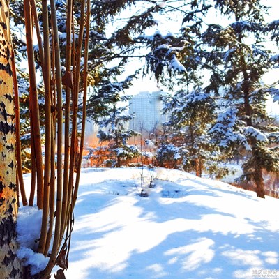 【不一樣的冬 不一樣的南北】+飚雪百丈南北贊！