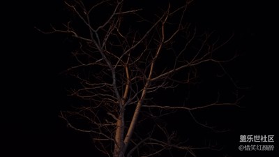 【不一樣的冬  不一樣的南北】+披星戴月