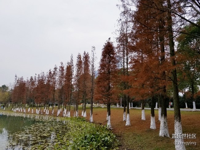 我的專用相機(jī)S8