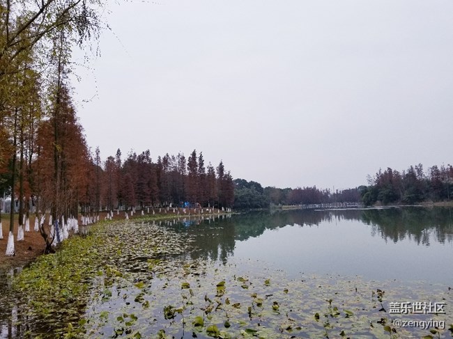 我的專用相機(jī)S8