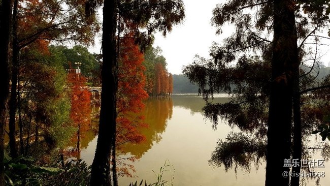 2018年第一貼?????