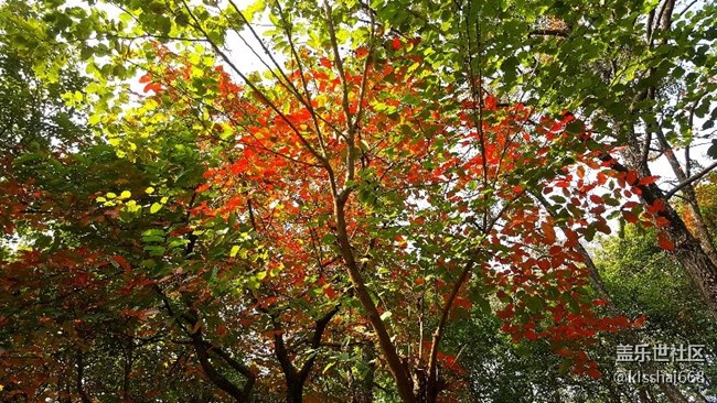 2018年第一貼?????