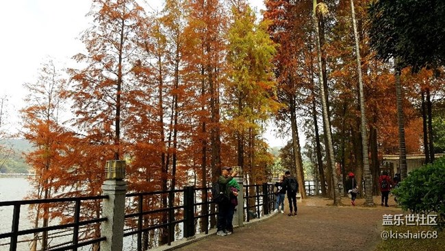 2018年第一貼?????