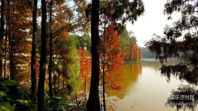 2018年第一貼?????