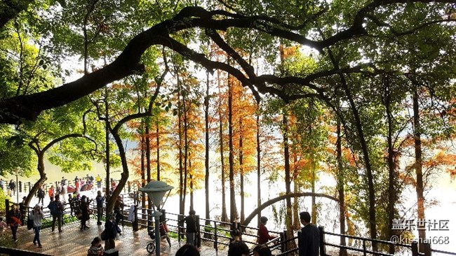 2018年第一貼?????