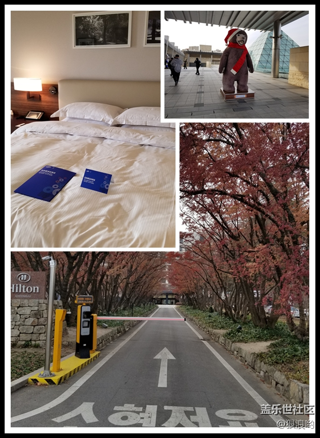 【Let Everyone Shine】讓每個(gè)人都閃耀！平昌冬奧會(huì)之旅！