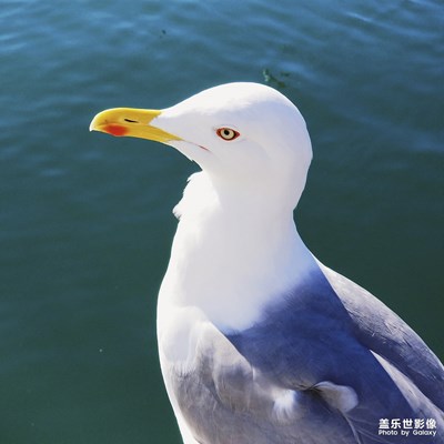 【拍才知道】巴塞羅那不止有陽光還有線條和色彩