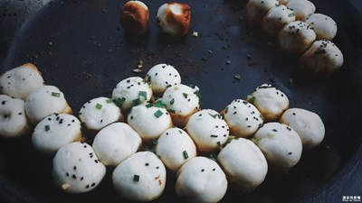 故鄉(xiāng)的影子