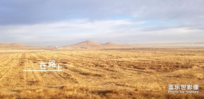 蓋樂(lè)世影像