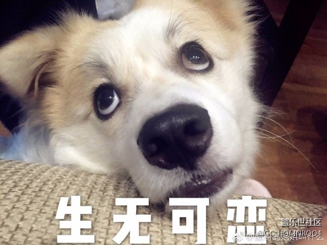 換屏多少錢？？