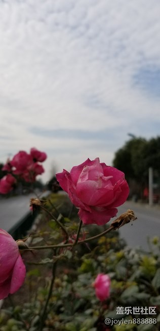 Note  8雙攝鏡頭的實(shí)時(shí)虛化加上夜視儀就是強(qiáng)