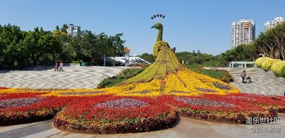 來(lái)一波大鳳凰，無(wú)后期