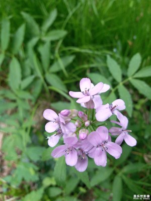 技術不好，多指教