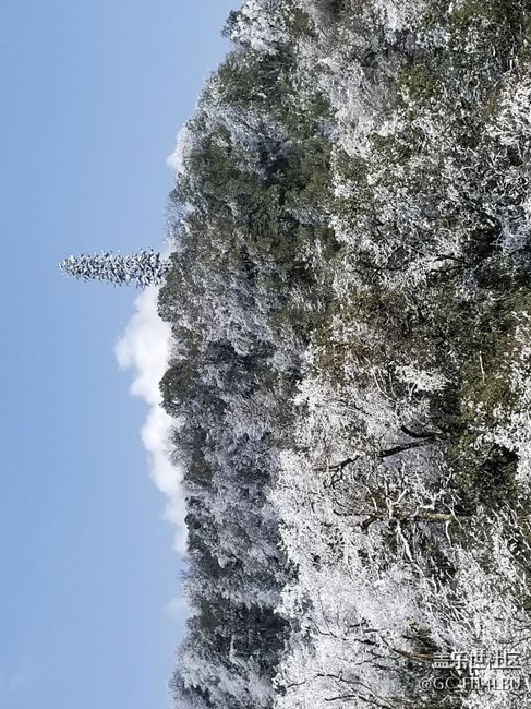 Note8鏡頭不得了了