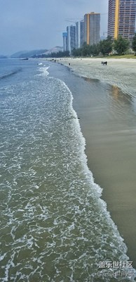 海灘、日落、貝殼、鮮花……2018.01.21一個(gè)發(fā)呆的日子[囧]