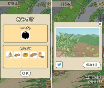 青蛙旅行攻略