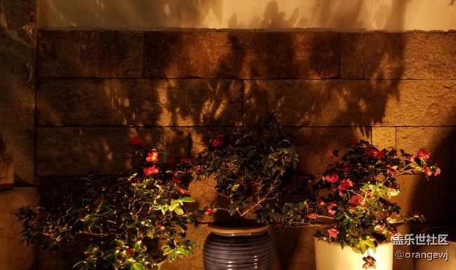 南京老門東夜游