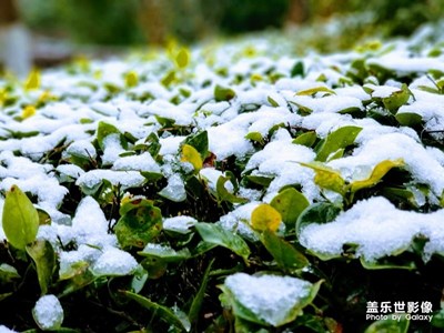 上海的第一場(chǎng)雪