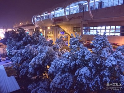 昨天上海終于下雪啦，真美