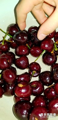 仔仔每天一斤??