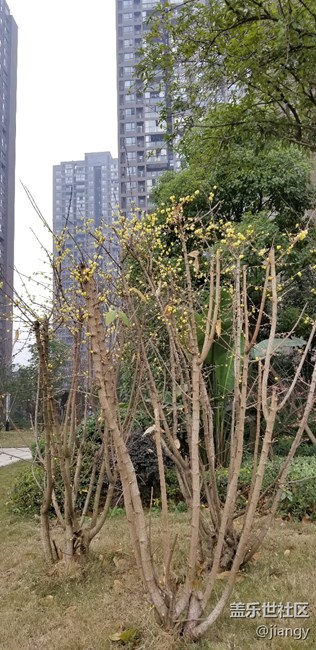 拍照強大的NOTE8