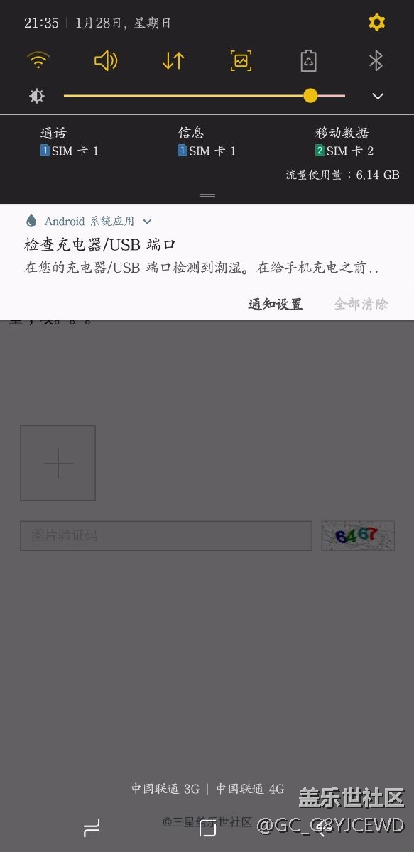 真爛