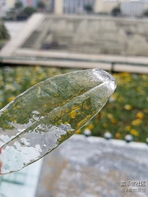 大南昌終于下雪了，雪后的冰凍更美??