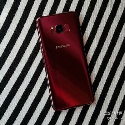 芳華-勃艮第紅S8