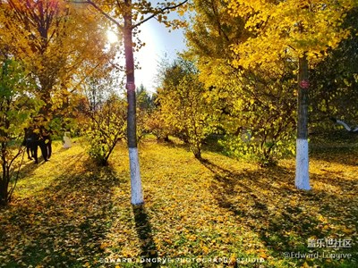 思念，是美好的，也是孤獨的