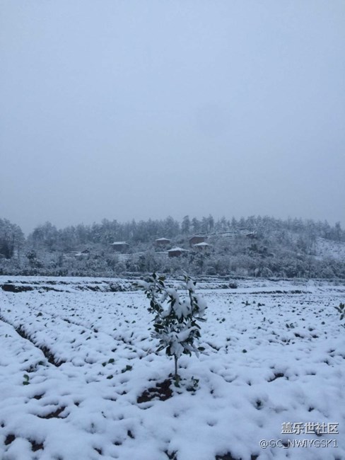 三星S8拍照，東城雪景