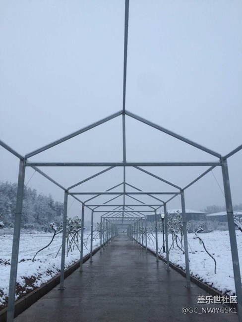 三星S8拍照，東城雪景