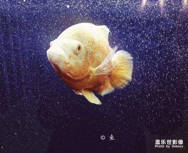 試試