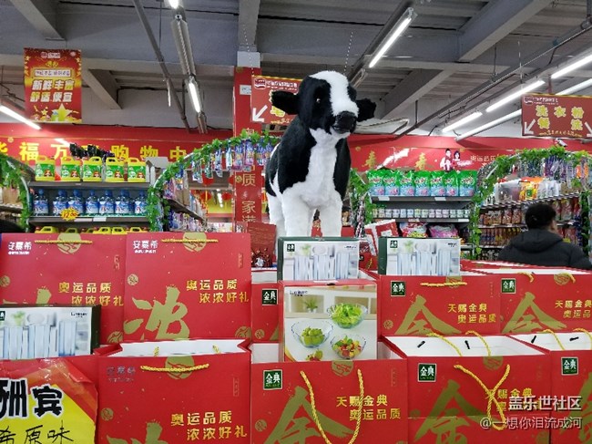 祝大家在新的一年，牛氣沖天。