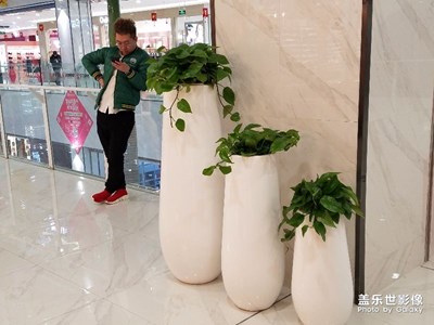 “綠蘿……”